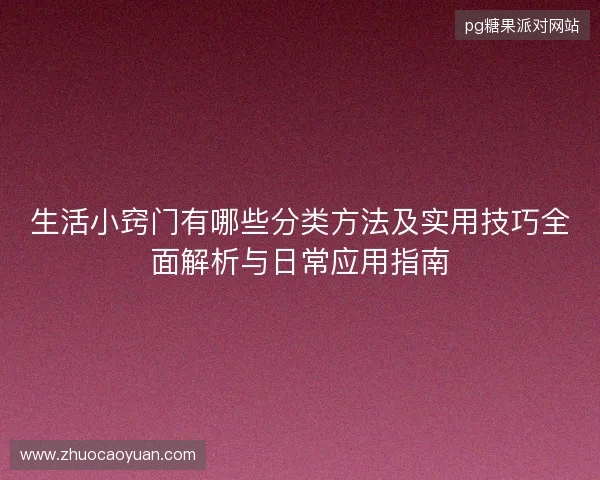 生活小窍门有哪些分类方法及实用技巧全面解析与日常应用指南